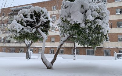 Filomena llegó a la Piscina